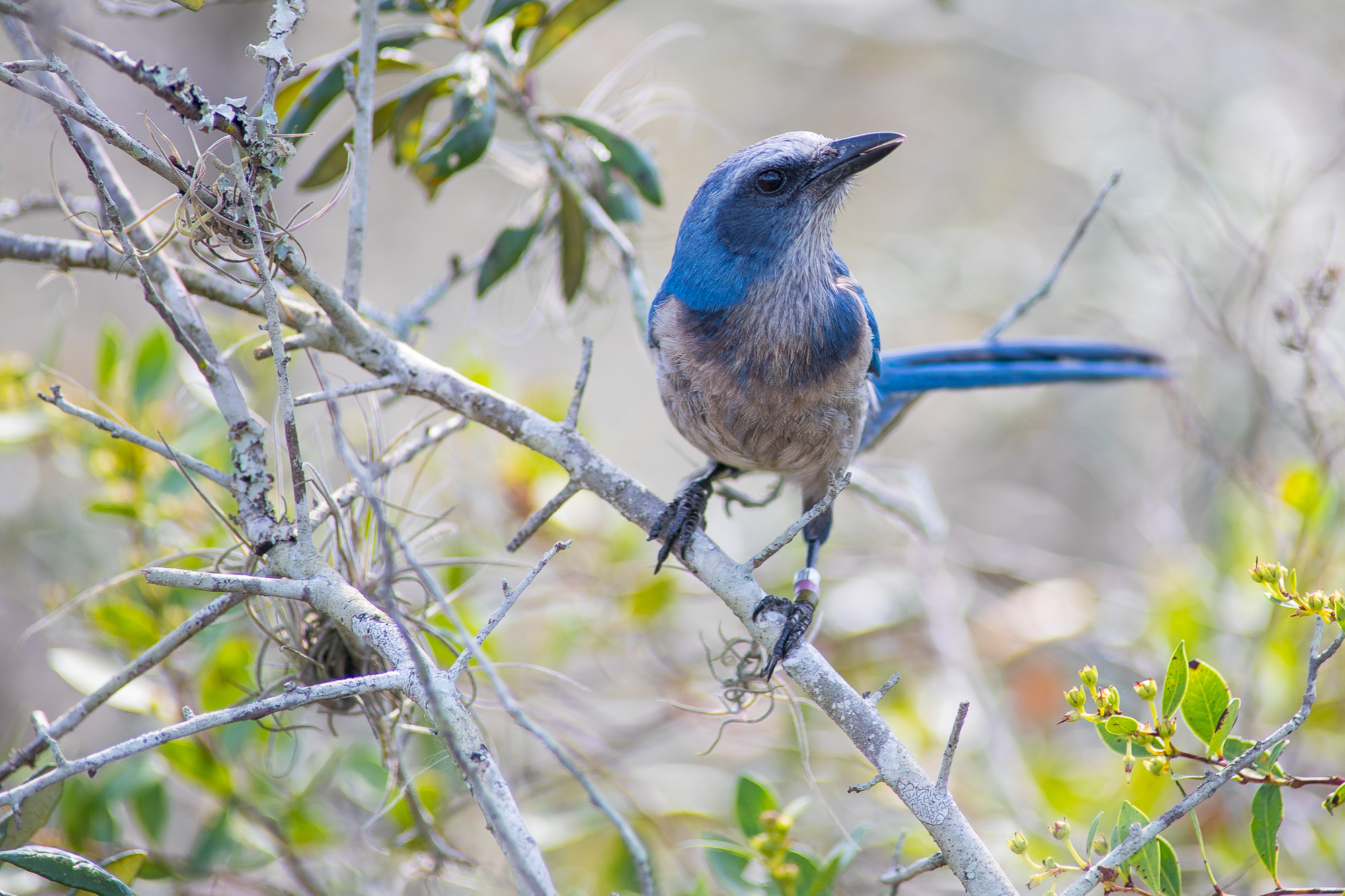 Award Winning Environmental Photography Knoxville TN | Widoff Photo