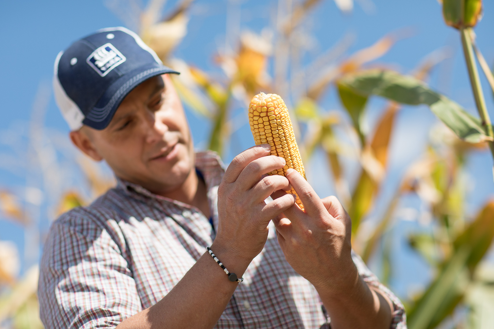Experienced Agriculture Photography Richmond VA | Widoff Photo