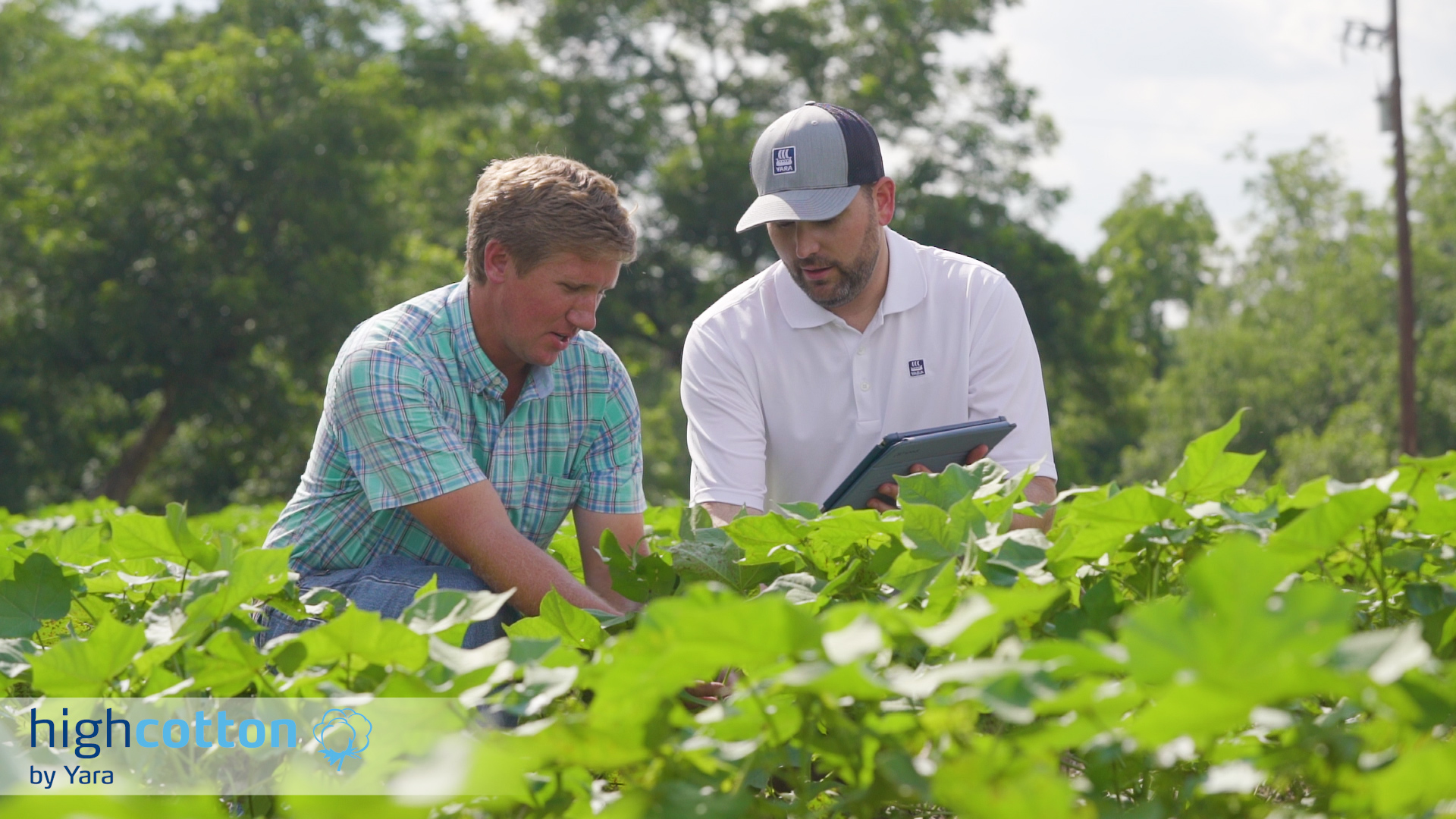 Commercial Advertising Videographer Atlanta GA Widoff Photo